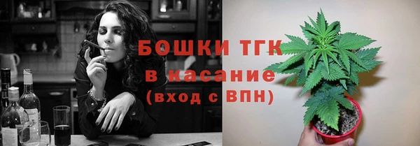 прущие грибы Бугульма
