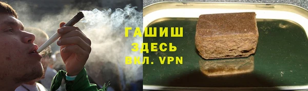 прущие грибы Бугульма