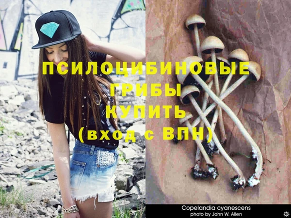 дистиллят марихуана Бронницы