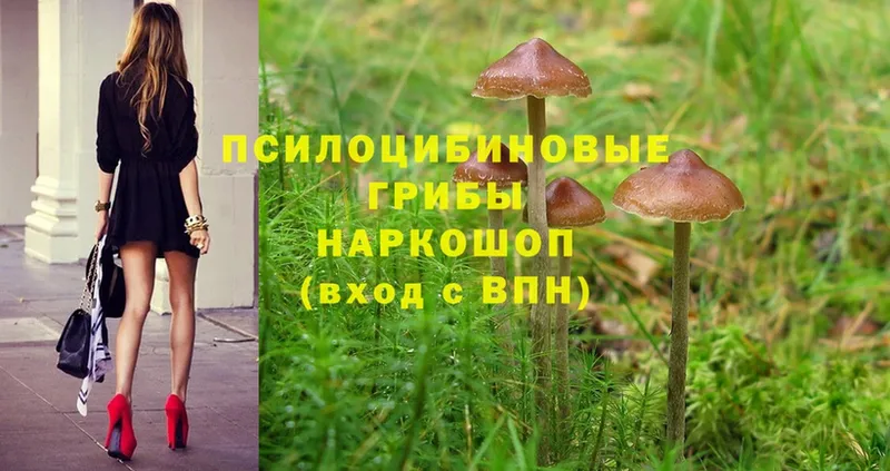 Галлюциногенные грибы MAGIC MUSHROOMS  darknet состав  Бузулук  как найти закладки 