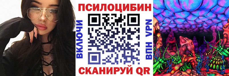 мориарти телеграм  OMG как зайти  Бузулук  Псилоцибиновые грибы MAGIC MUSHROOMS 