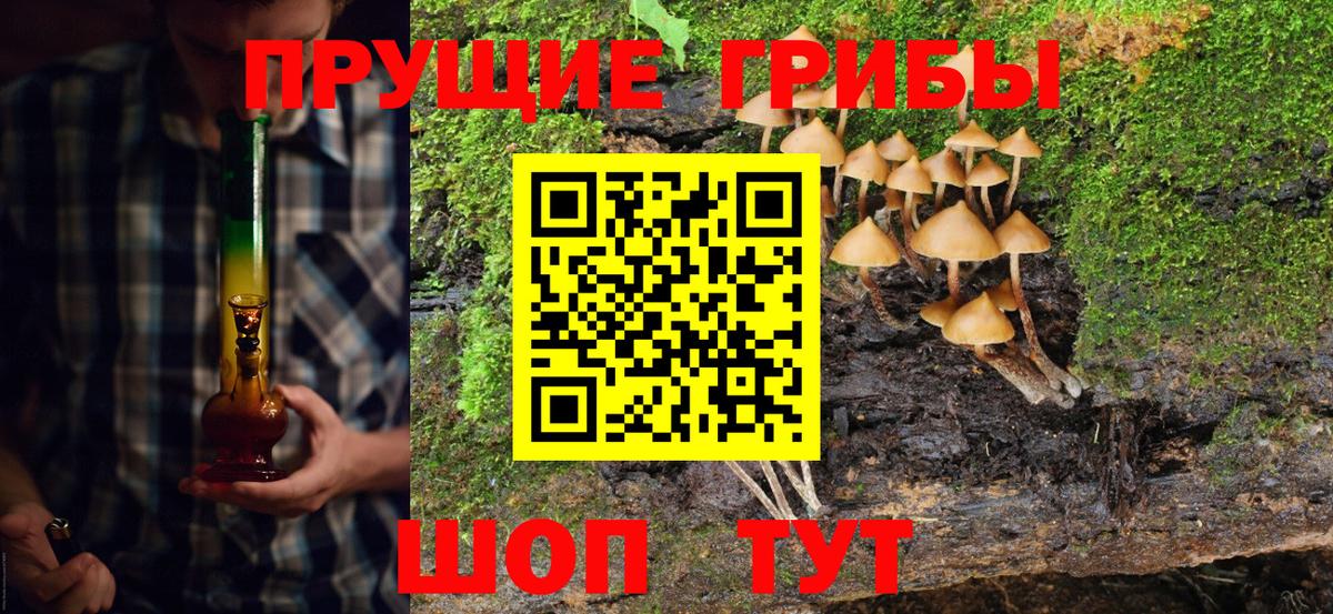 Бузулук  Псилоцибиновые грибы мицелий  Вход с VPN 