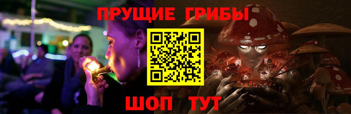 Псилоцибиновые грибы прущие грибы Бузулук
